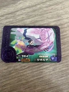 ポケモンフレンダ ジガルデ