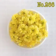 すじえもん様 リクエスト 4点 まとめ商品