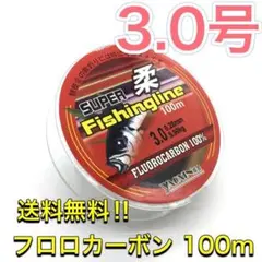 (L56)　フロロカーボン 3.0号 100m巻き 道糸　リーダーのサムネイル