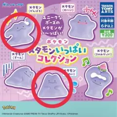 ポケモン メタモンいっぱいコレクション コンプリート 全5種セット