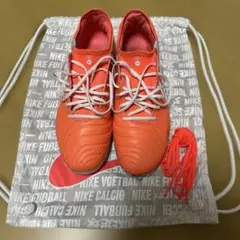 ティエンポレジェンド10エリートAG 27.5cm