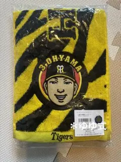 Item thumbnail for item 24906dd3-1d46-4d17-bcf5-80fe74e79797