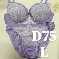 ブラジャー　D75 Ｌ　新品未使用のサムネイル