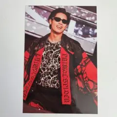 神谷健太 ポストカード ランペ RAMPAGE PRIMAL SPIDER