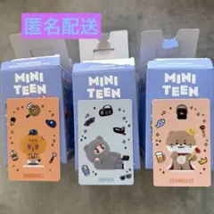 MINITEEN POPMART (スングァン バーノン ディノ)ドレミズセット