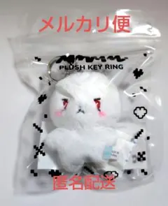 2026年最新】Plave ウノ ぬいぐるみの人気アイテム - メルカリ
