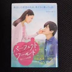 小説 パーフェクトワールド 君といる奇跡
