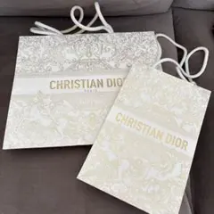 CHRISTIAN DIOR 紙袋 大小セット
