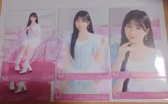 山本杏奈　生写真　コンプ