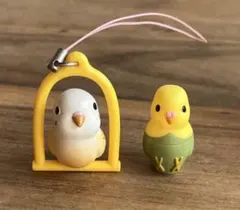 【新品】セキセイインコのセット