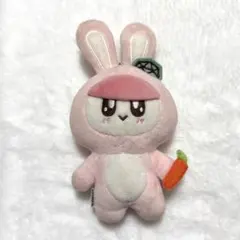 2025年最新】seventeen ボンボンイ うさぎの人気アイテム - メルカリ