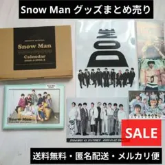 Snow Man Calendar 2020.4-2021.3 公式 セット