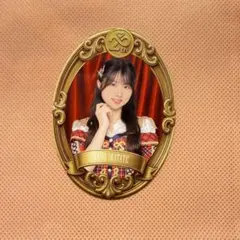 岩立沙穂　チャンスくじ　オリジナルステッカー　日本武道館コンサート　 AKB48