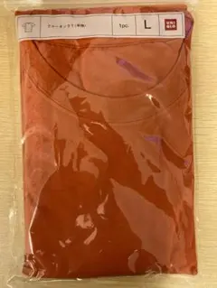 Item thumbnail for item 5a8d925f-5b12-4a98-9637-5fd62c5a433d