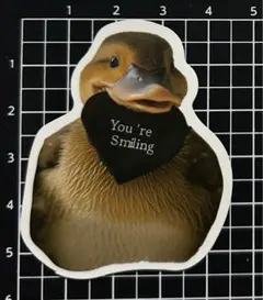 H8  艶消し　防水ステッカー　ハート　シール　鴨　カモ　アヒル　鳥　アニマル