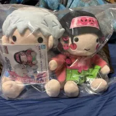 【ある様専用出品】HUNTER×HUNTER キルア＆アルカ ぬいぐるみセット