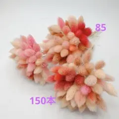 85 ドライフラワーラグラスミックスカラー150本 85 ドライフラワーラグラスミックスカラー150本 - メルカリ