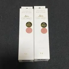 CICA スキンフィット　メイクアップフィクサー　2個　まとめ売り