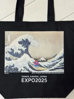 Item thumbnail for item 46a2fa57-8e9e-4051-97cb-3c570145341b