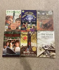洋書 まとめ売り