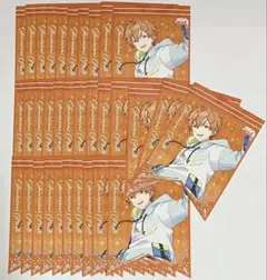 プロセカ 東雲彰人 アニメイト特典 ガーランド