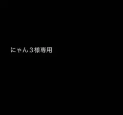 にゃん3様専用