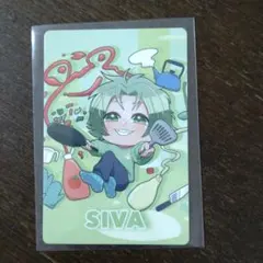 カラピチ　ミュージアム　トレカ　シヴァさん