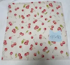 入学 入園 ランチョンマット さくらんぼピンク 2枚セット30x40 - メルカリ