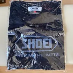 Item thumbnail for item c63c7acc-d68b-457a-beeb-15a4034cb943