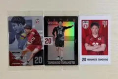 バレーボール男子日本代表 山本智大 トレカ 3枚セット