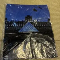 ユニクロＵＴドラえもんルーヴル美術館Tシャツ 4XL 新品未使用