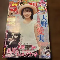 週刊少年マガジン 40号 大野愛実 切り抜きなし