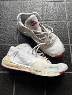 Item thumbnail for item 782c4fe9-6809-4701-a50c-46032262066a