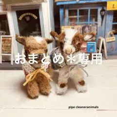 きょうちゃん様＊専用