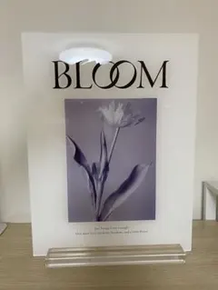 BLOOM 二面フォトフレーム 折りたたみ式 - メルカリ