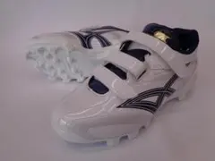 Item thumbnail for item d45a1b6f-77c4-417e-a464-83297d1955e8