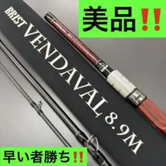 フィッシュマン ブリスト ベンダバール 8.9M 美品‼️のサムネイル