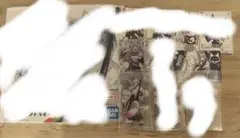 からぴち　どぬく