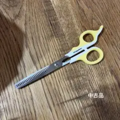 Item thumbnail for item 4fe5f68c-a7c2-455a-becc-cfe5dc008287