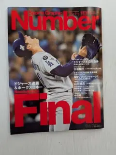 Sports Graphic Number 1131 Final