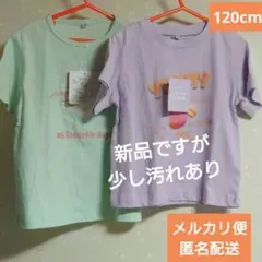 【未使用タグ付ですが訳あり】半袖Tシャツ　２枚セット　120 cm　綿100%