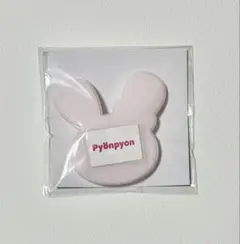 NiziU NEW EvoNUtion くじD賞　pyonpyon MIIHI
