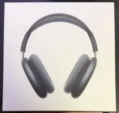 【美品】Apple AirPods Max (TYPE-C)のサムネイル