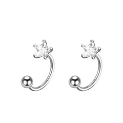 【No.89】シルバー ☆ ジルコニア ピアス