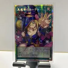 2026年最新】黒魔導のカーテン プリシクの人気アイテム - メルカリ