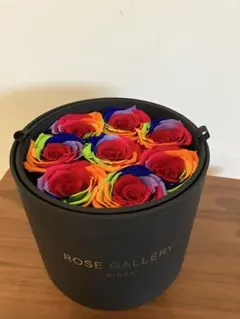 ROSE GALLERY プリザーブドフラワーアレンジメント　レインボーローズ