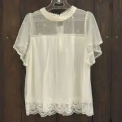 アズノウアズ チュール 刺繍ブラウス