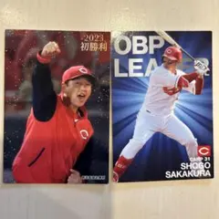 Item thumbnail for item 3004f323-2d52-4962-9ae0-9da82d4f9e33