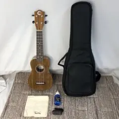 Item thumbnail for item 55369480-e5b9-48b5-8e25-1778ff28807a