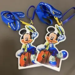 Disney ディズニーリゾート バケーションパッケージ チケットホルダー2個